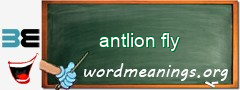 WordMeaning blackboard for antlion fly